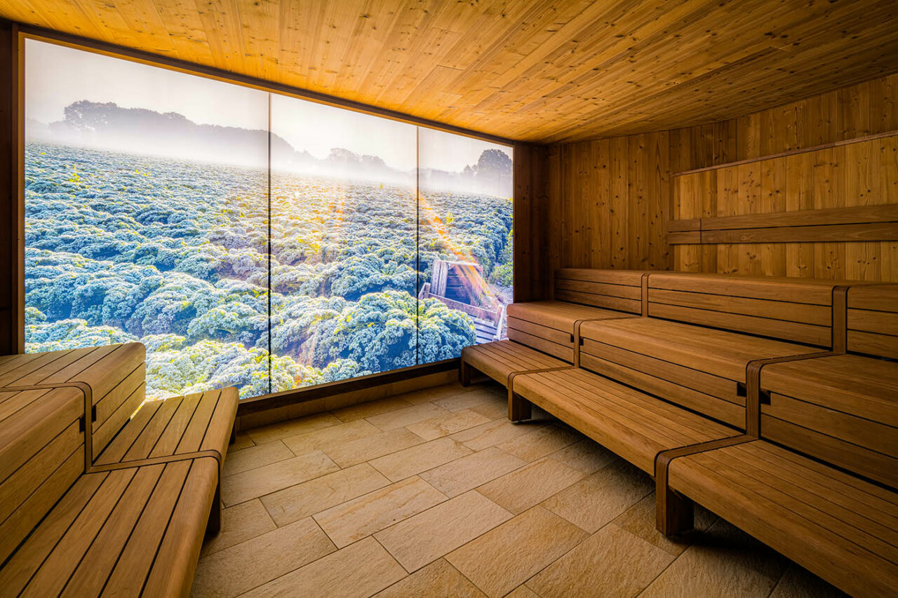 OLantis Saunawelt 3 Olantis Huntebad Saunawelt: Blick in die Grünkohlsauna (Innensauna). Gewerblicher Saunabau im öffentlichen Bad. Maßanfertigung corso sauna manufaktur